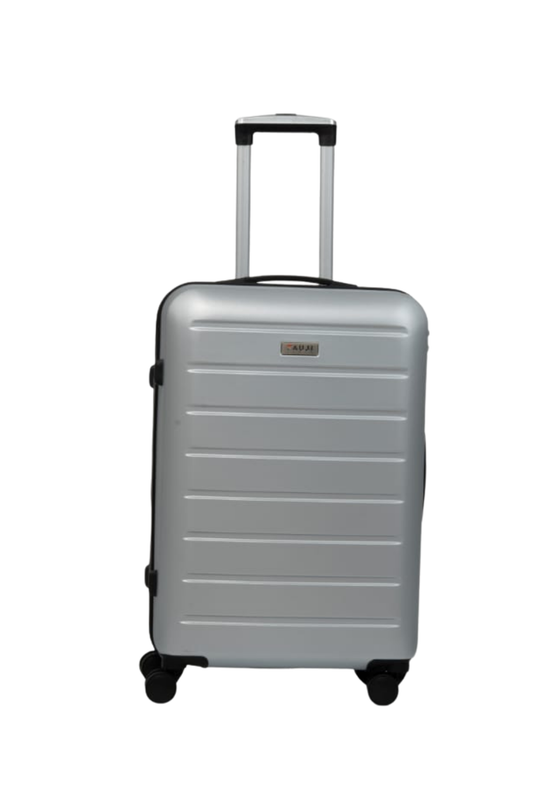 Luggage bag - Victory Silver - L